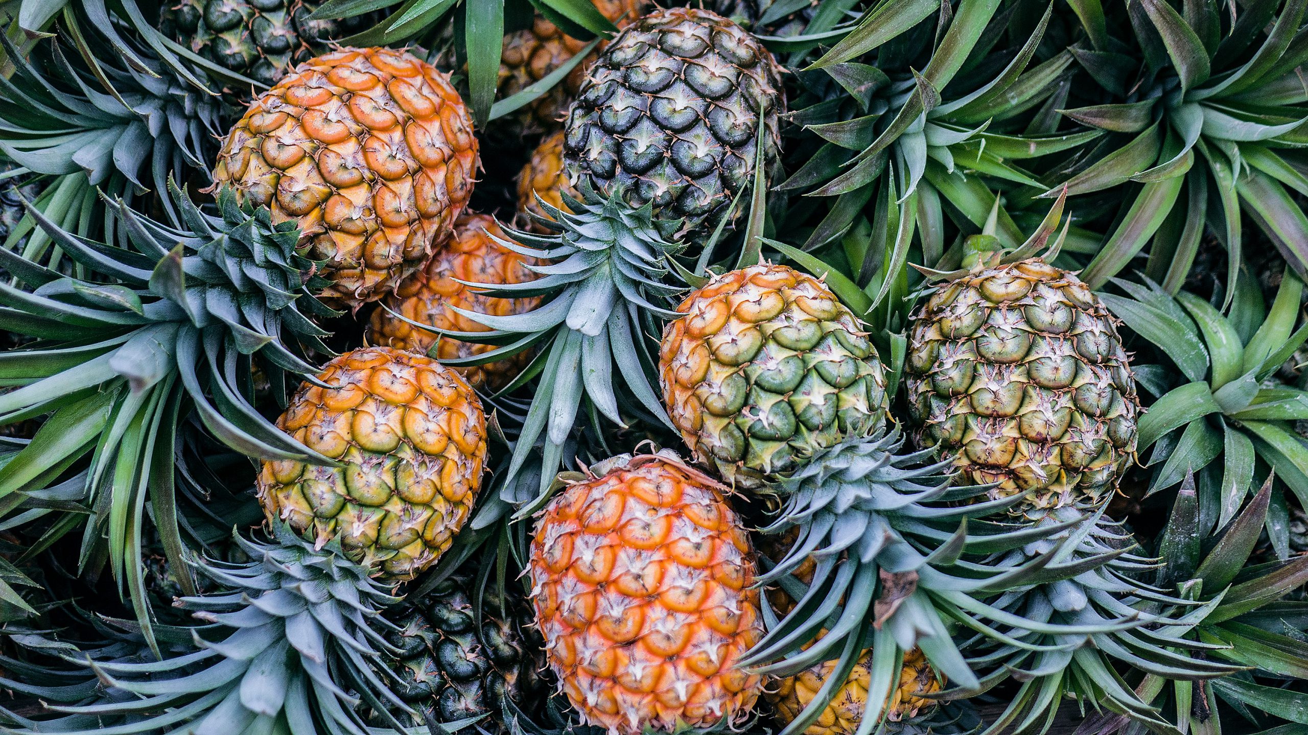 Smooth Cayenne Pineapples