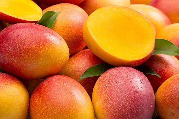 Kent & Tommy Mangoes